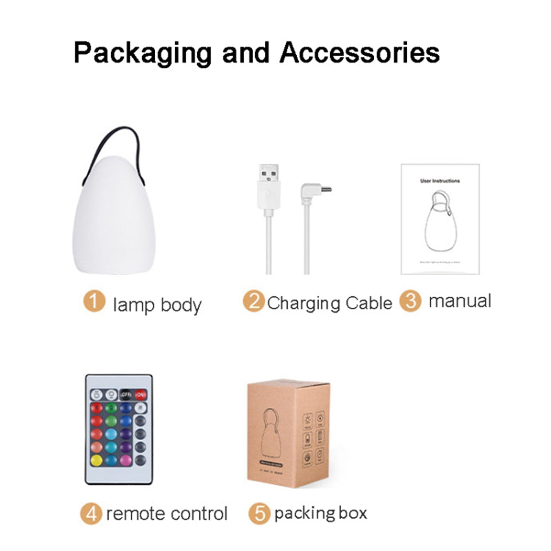 Remote Control Night Light Rechargeable 16 Colors 6 Brightness Levels Bedside Lamp Egg-Shaped Lamp for Home, Bar