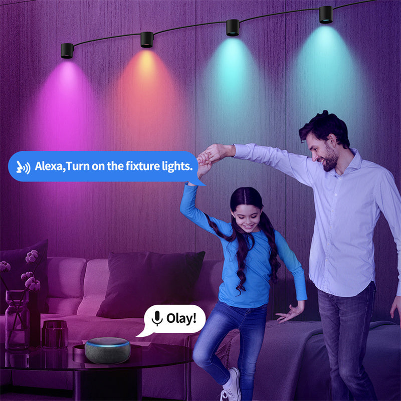 BLX-01 4Pack RGBIC LED Light Smart Wall Sconces Music Sync Home Decor Tuya WiFi Wall Lights Work with Alexa