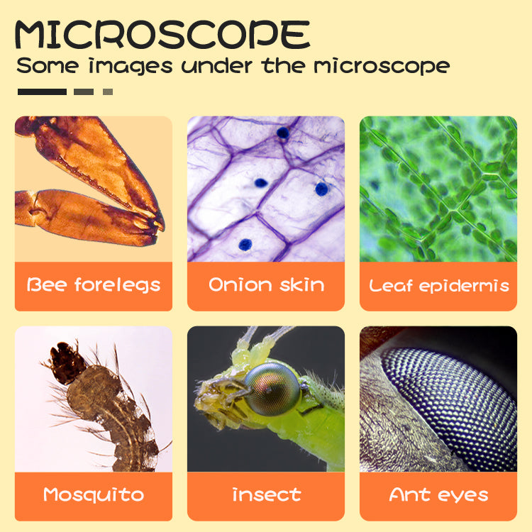 DDL-M1 50X-1000X Kids Students LED WiFi Microscope with Optical Glass Lens for School Lab Education