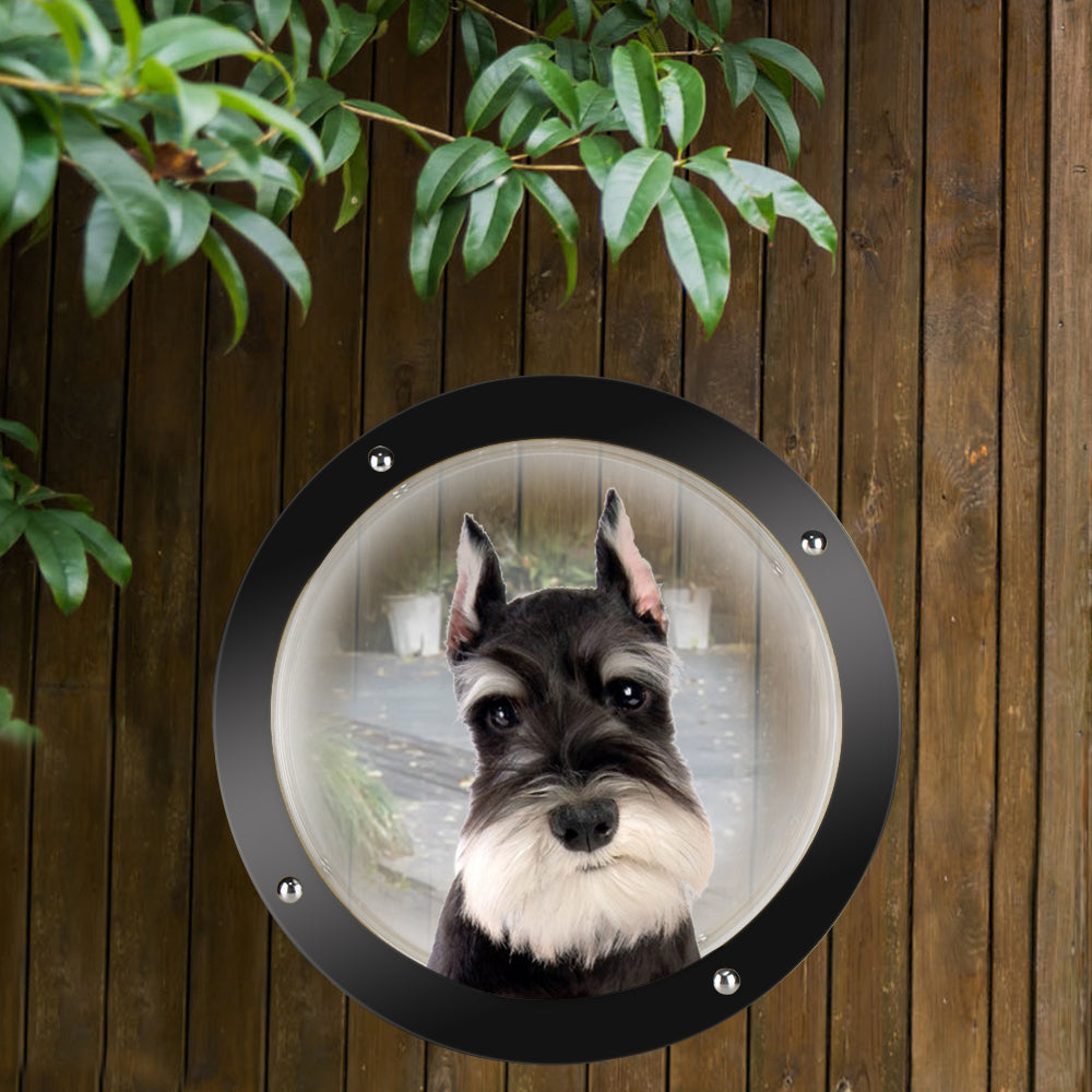 2PCS / Pack Pet Dog Fence Peek Window Acrylic Dome Window
