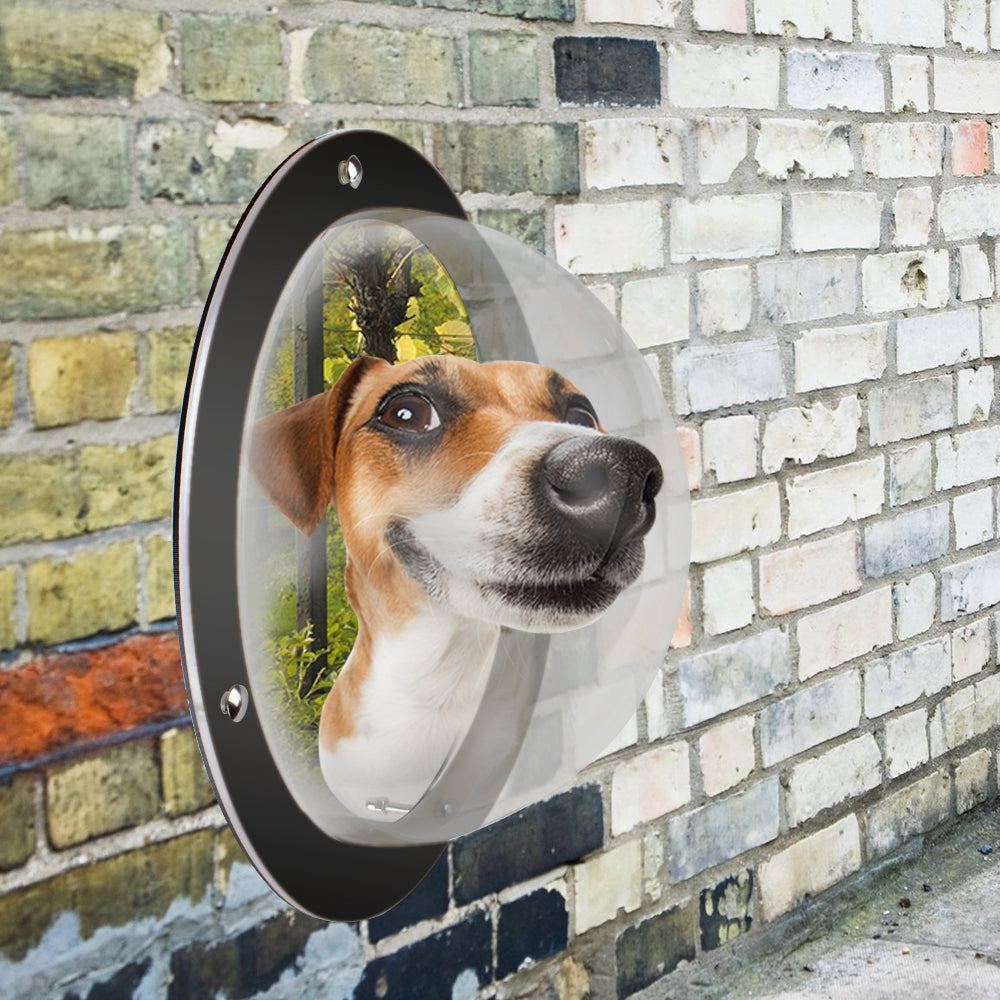 2PCS / Pack Pet Dog Fence Peek Window Acrylic Dome Window