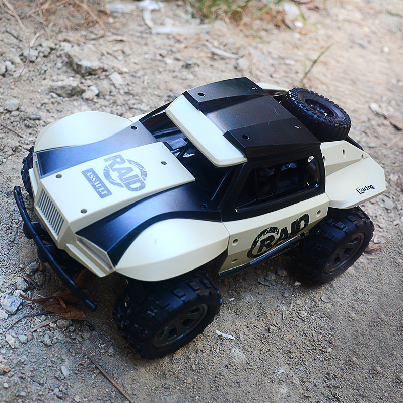 1:18 20KM/H Electric USB Rechargeable RC Car 2.4GHz Remote Control Toy Car