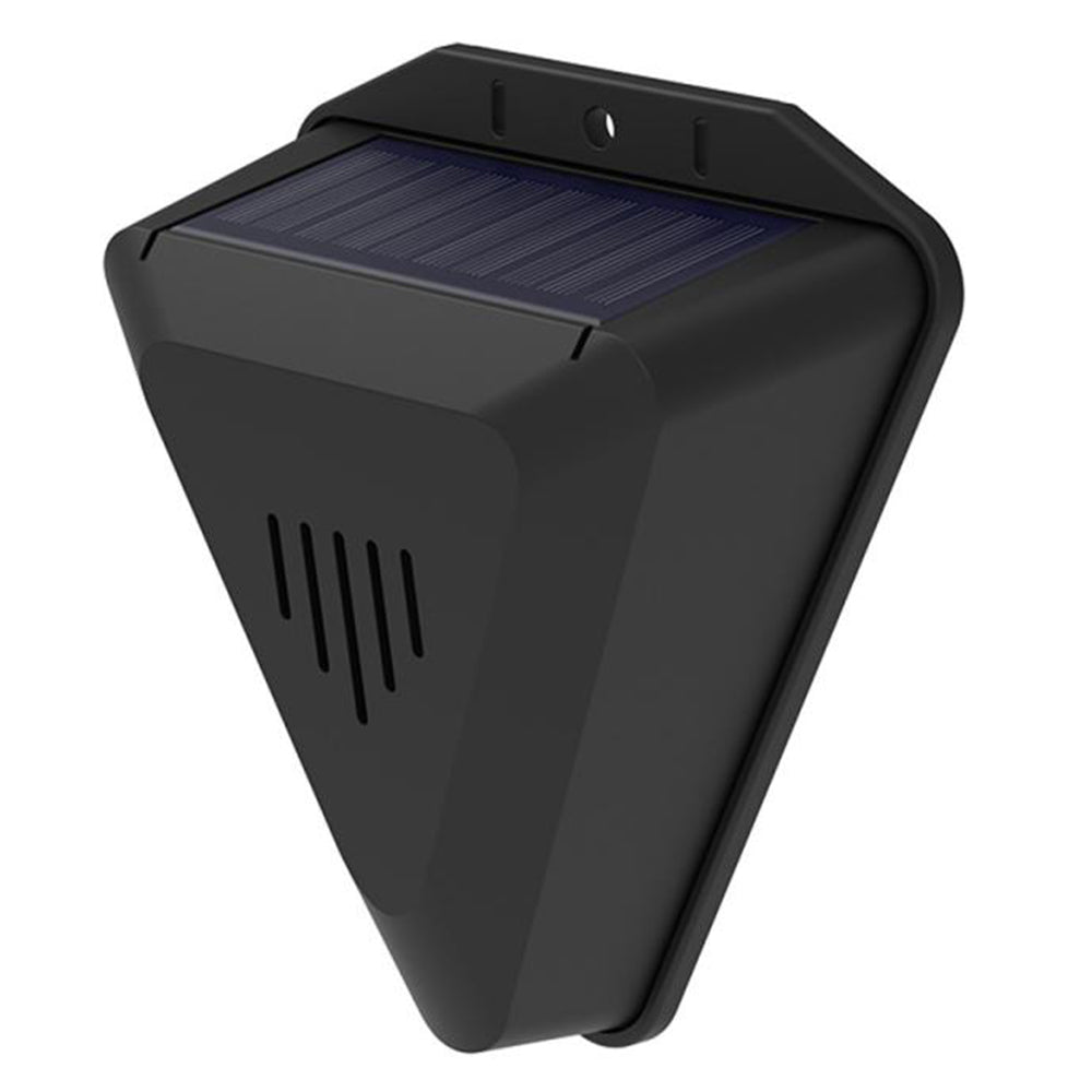 LED Lights