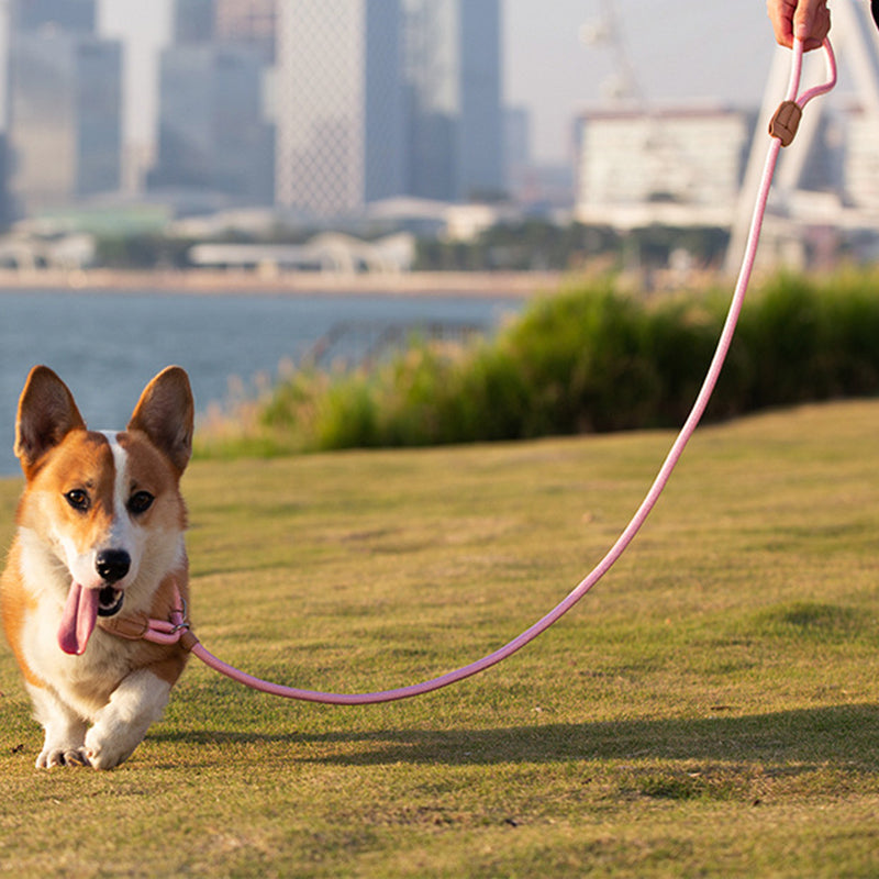 AIWO 1.7mx8mm High-Strength Knitted Dog Leash Pet Traction Rope Walking Training Lead Leash