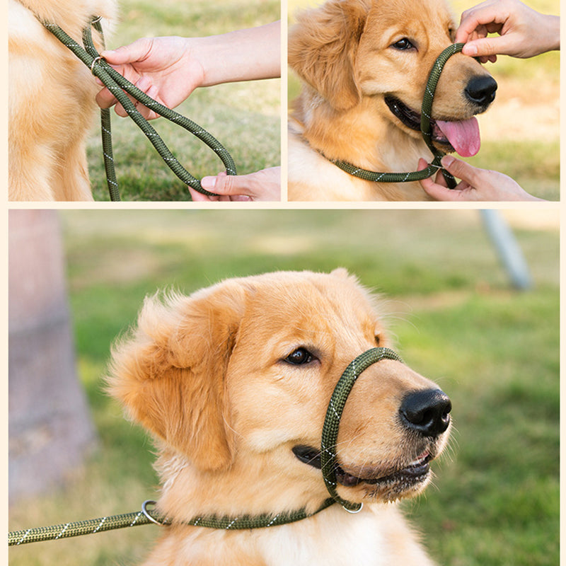 AIWO 1.7mx8mm High-Strength Knitted Dog Leash Pet Traction Rope Walking Training Lead Leash