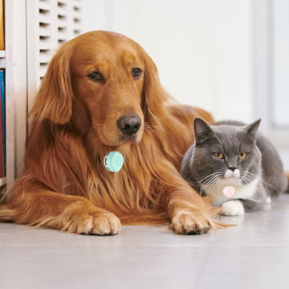 Compatible with Samsung Galaxy SmartTag Bluetooth Tracker Waterproof Silicone Case Protective Cover for Pet Collar
