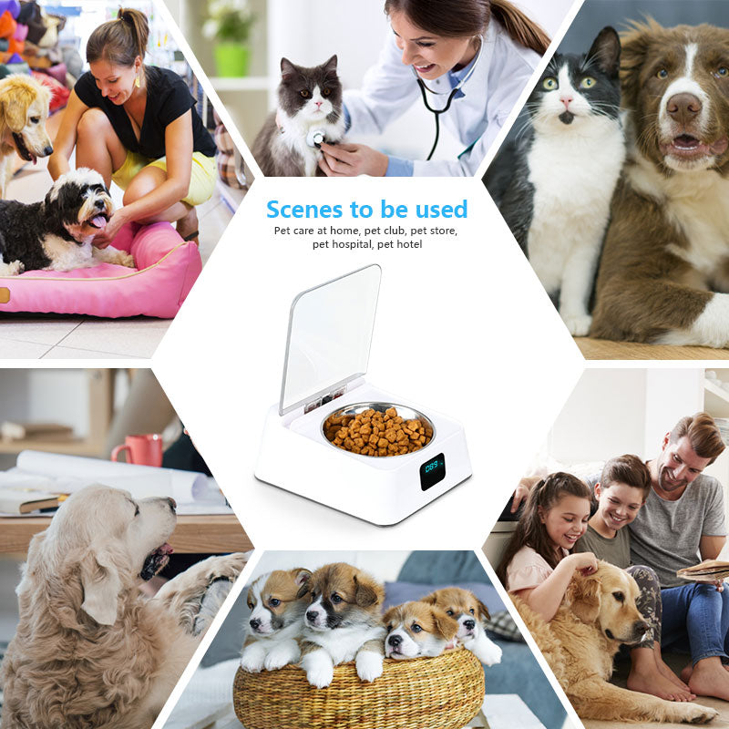 MG-070 Automatic Pet Feeder Pet Food Dispenser Dog Cat Bowl with Infrared Sensor Switch Cover