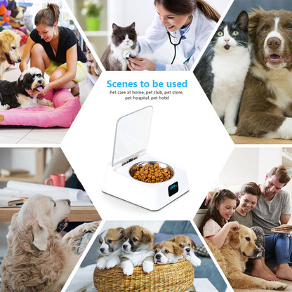 MG-070 Automatic Pet Feeder Pet Food Dispenser Dog Cat Bowl with Infrared Sensor Switch Cover