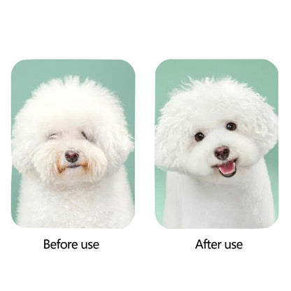 Pet Hair Dryer with Slicker Brush Hair Removal Portable Dog Blower Professional Home Grooming Furry Drying for Small Large Cat Dog