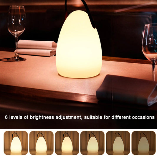 Remote Control Night Light Rechargeable 16 Colors 6 Brightness Levels Bedside Lamp Egg-Shaped Lamp for Home, Bar