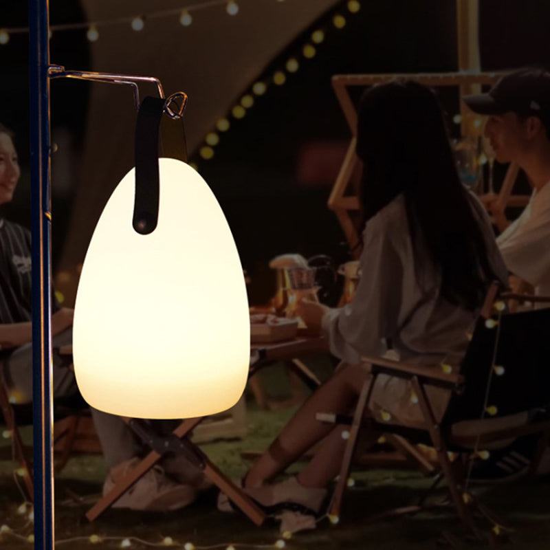 Remote Control Night Light Rechargeable 16 Colors 6 Brightness Levels Bedside Lamp Egg-Shaped Lamp for Home, Bar
