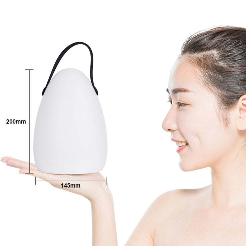Remote Control Night Light Rechargeable 16 Colors 6 Brightness Levels Bedside Lamp Egg-Shaped Lamp for Home, Bar