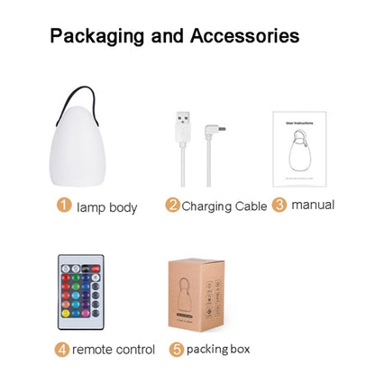 Remote Control Night Light Rechargeable 16 Colors 6 Brightness Levels Bedside Lamp Egg-Shaped Lamp for Home, Bar