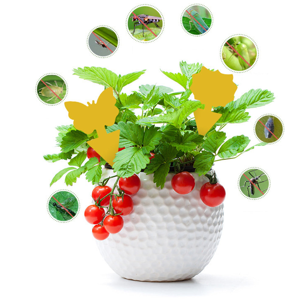 10Pcs Glue Bug Catcher Aphids Insect Double-sided Yellow PP Insect Sticky Board Fly Trap Garden Plant Protection