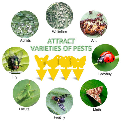 20Pcs Sticky Insect Trap Plant Pest Control Catcher Gardening Supplies Double-sided Yellow PP Sticky Board