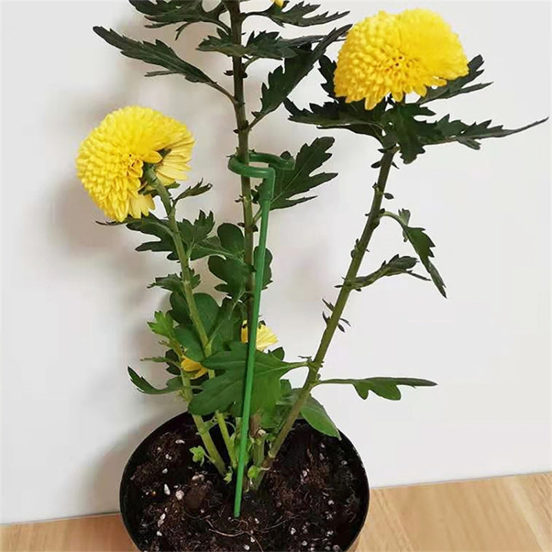 10PCS 58CM Plant Support Stake Garden Flower Single Stem Fiberglass Support Cage Ring Indoor Orchid Peony Supporting Stick