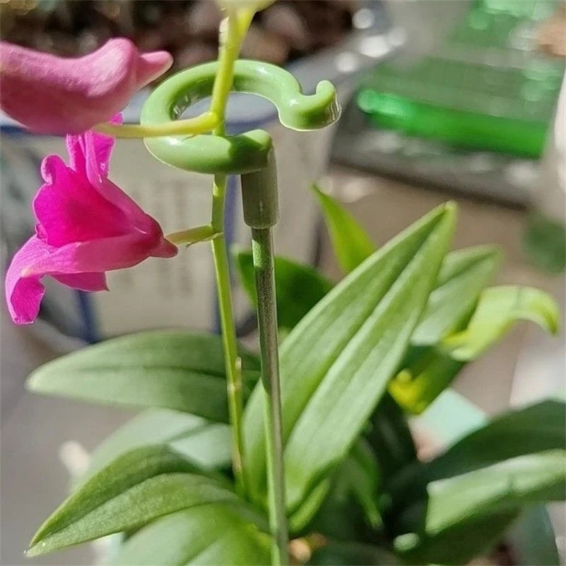 10PCS 58CM Plant Support Stake Garden Flower Single Stem Fiberglass Support Cage Ring Indoor Orchid Peony Supporting Stick