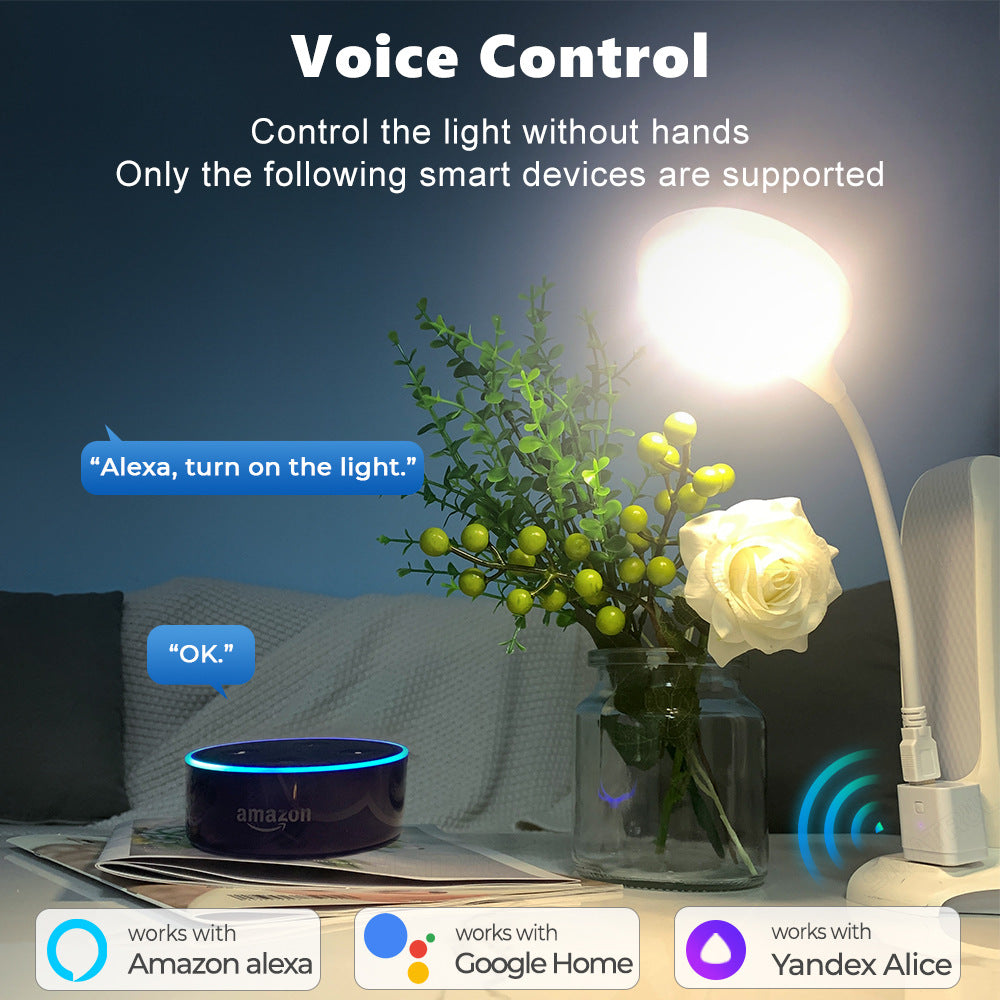 CZ068-W Tuya Smart USB Adapter Portable WiFi / Bluetooth Dual Mode Smart Adapter Support APP Control