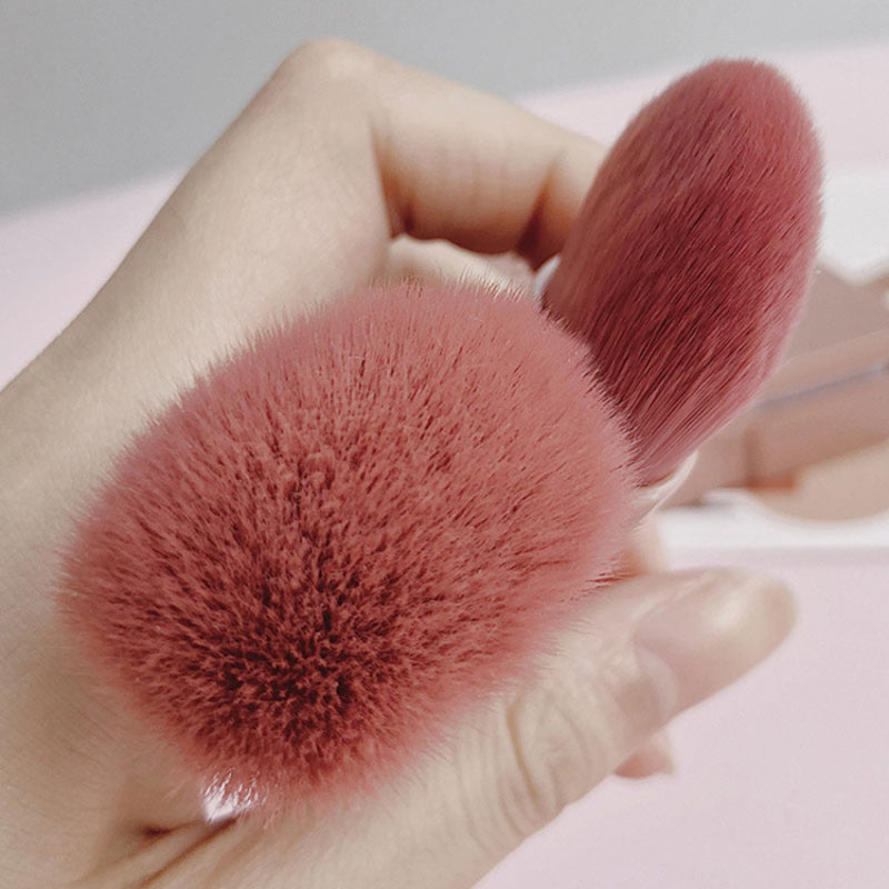 5Pcs Makeup Brush Soft Bristles Foundation Eyeshadow Lip Brushes Kit with Makeup Mirror Box