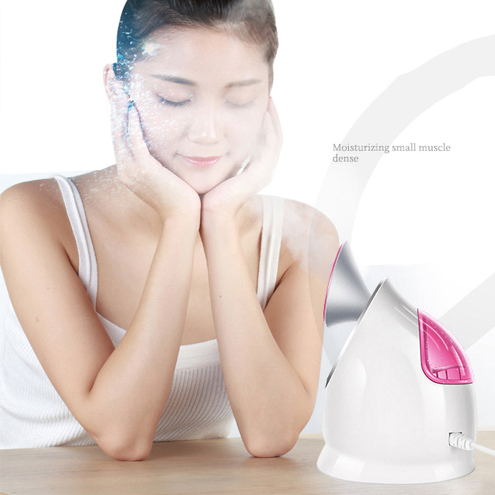 K.SKIN KD2330 Hot Spray Face Steamer Home Nano Face Moisturizing Hydrating Skin Beauty Device, EU Plug