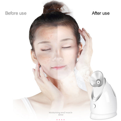 K.SKIN KD2330 Hot Spray Face Steamer Home Nano Face Moisturizing Hydrating Skin Beauty Device, EU Plug