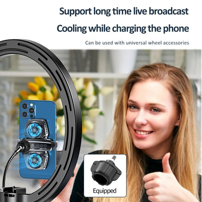 K4 Digital Display Cell Phone Coolers Portable Back Clip Mobile Phone Radiator with RGB Light for Games, Live Streaming