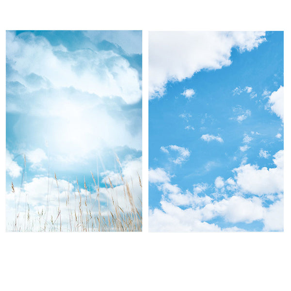 57*87cm Blue Sky White Cloud Double Sided Waterproof Paper Backdrop for Camera Phone Shooting
