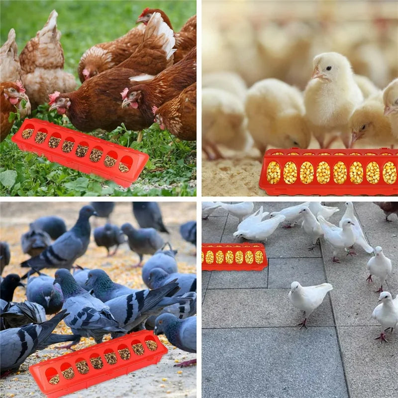 Flip Top Poultry Feeder 18 Holes Plastic Feeding Tray for Chicken Duckling Bird