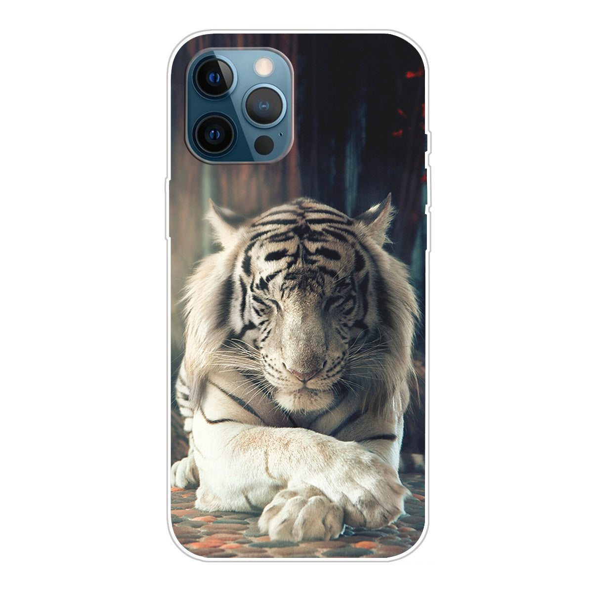 Pattern Printing IMD Workmanship TPU Back Case for iPhone 13 Pro 6.1-inch
