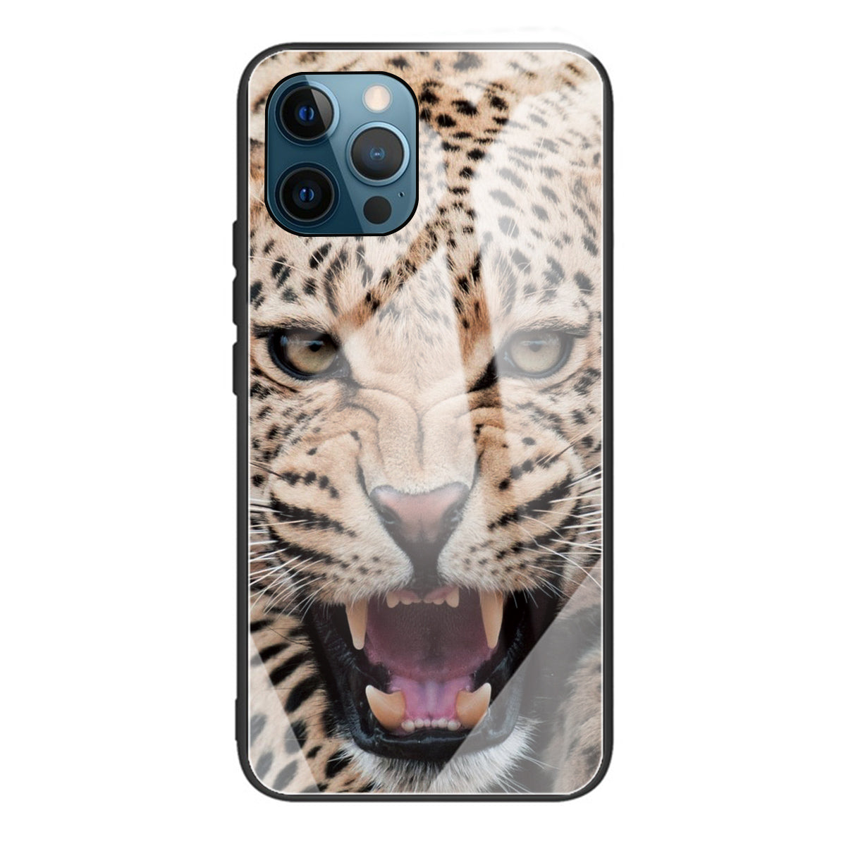 Anti-scratch Pattern Printing Glass + TPU Combo Hybrid Cover for iPhone 13 Pro 6.1 inch