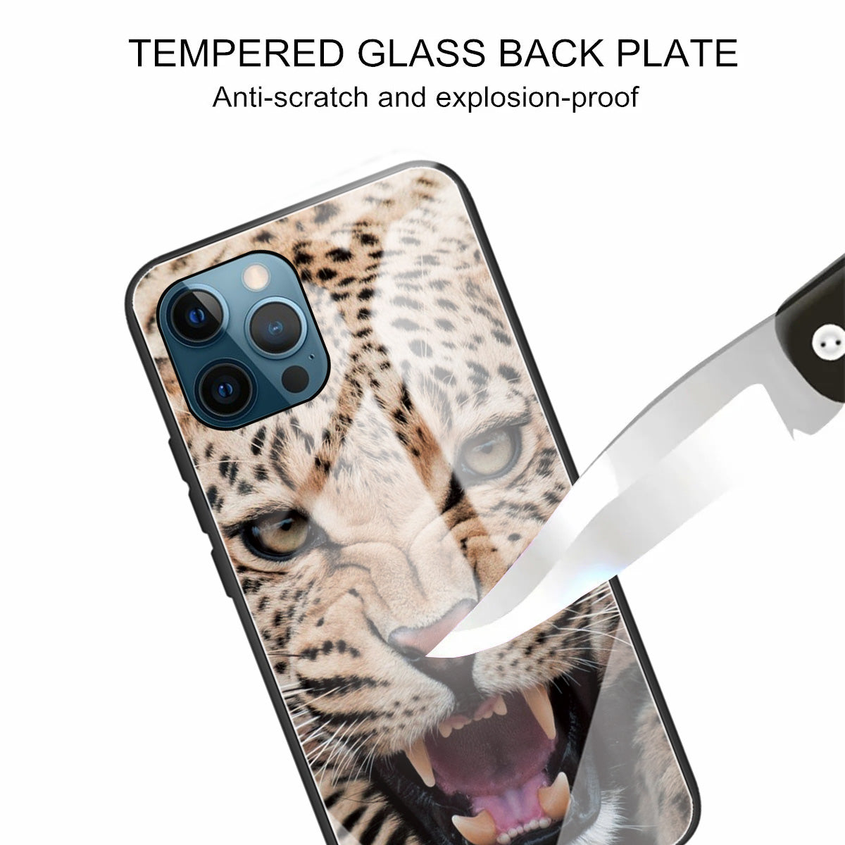 Anti-scratch Pattern Printing Glass + TPU Combo Hybrid Cover for iPhone 13 Pro 6.1 inch
