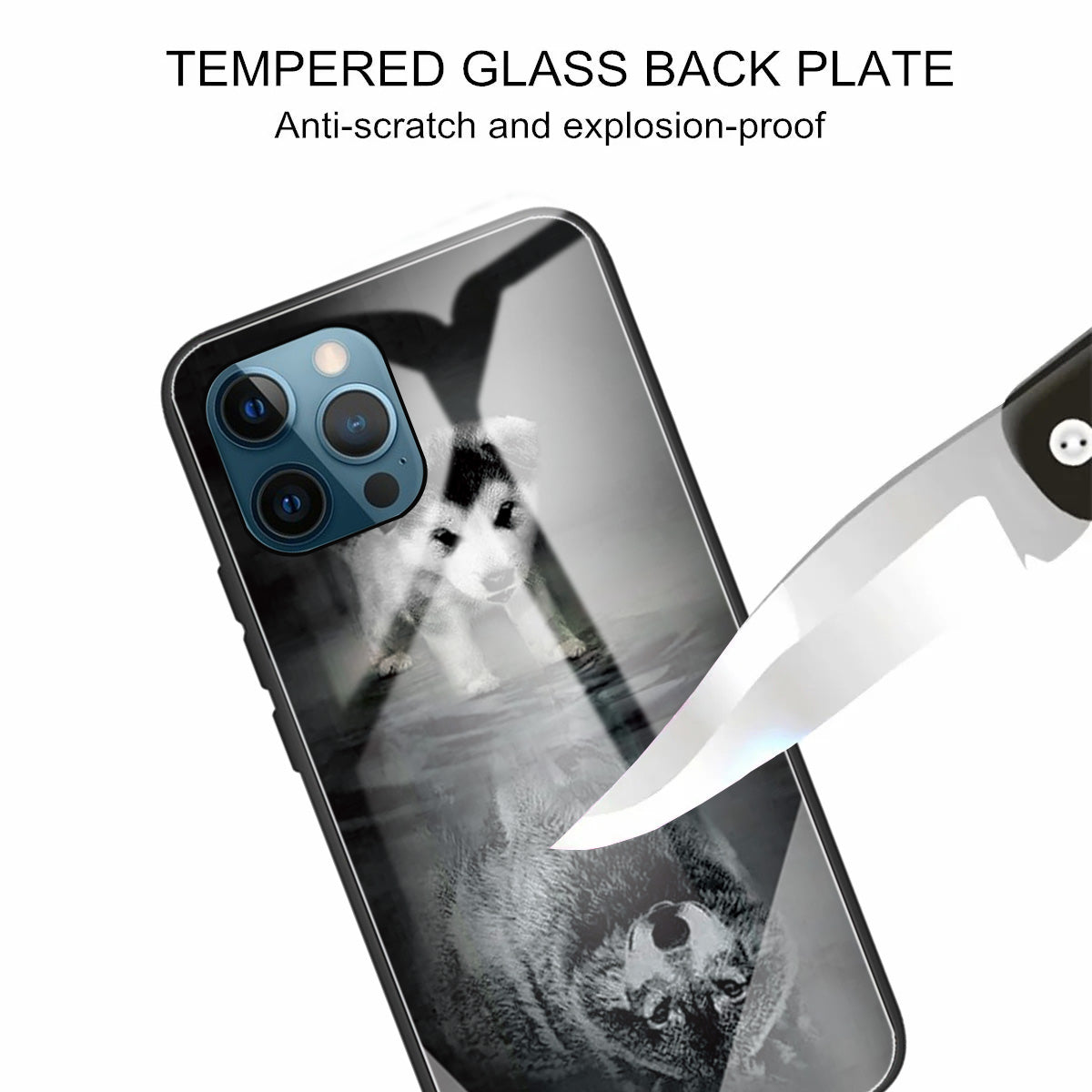 Anti-scratch Pattern Printing Glass + TPU Combo Hybrid Cover for iPhone 13 Pro 6.1 inch