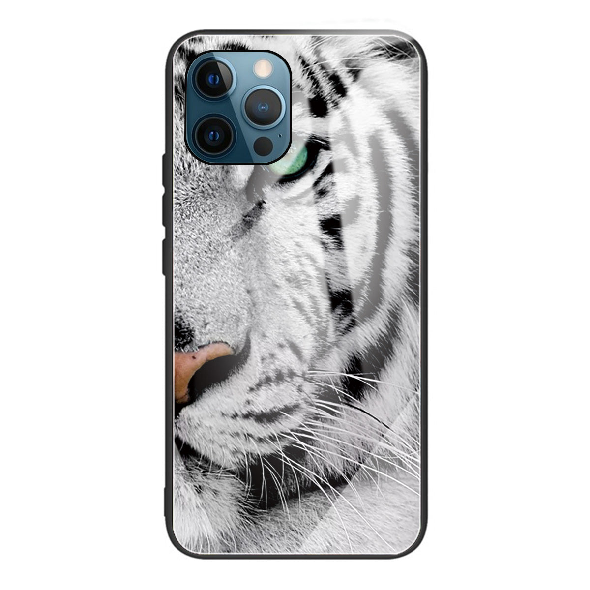 Pattern Printing Tempered Glass Back Cover + TPU Frame Well-Protected Hybrid Case Cover for iPhone 13 Pro 6.1 inch