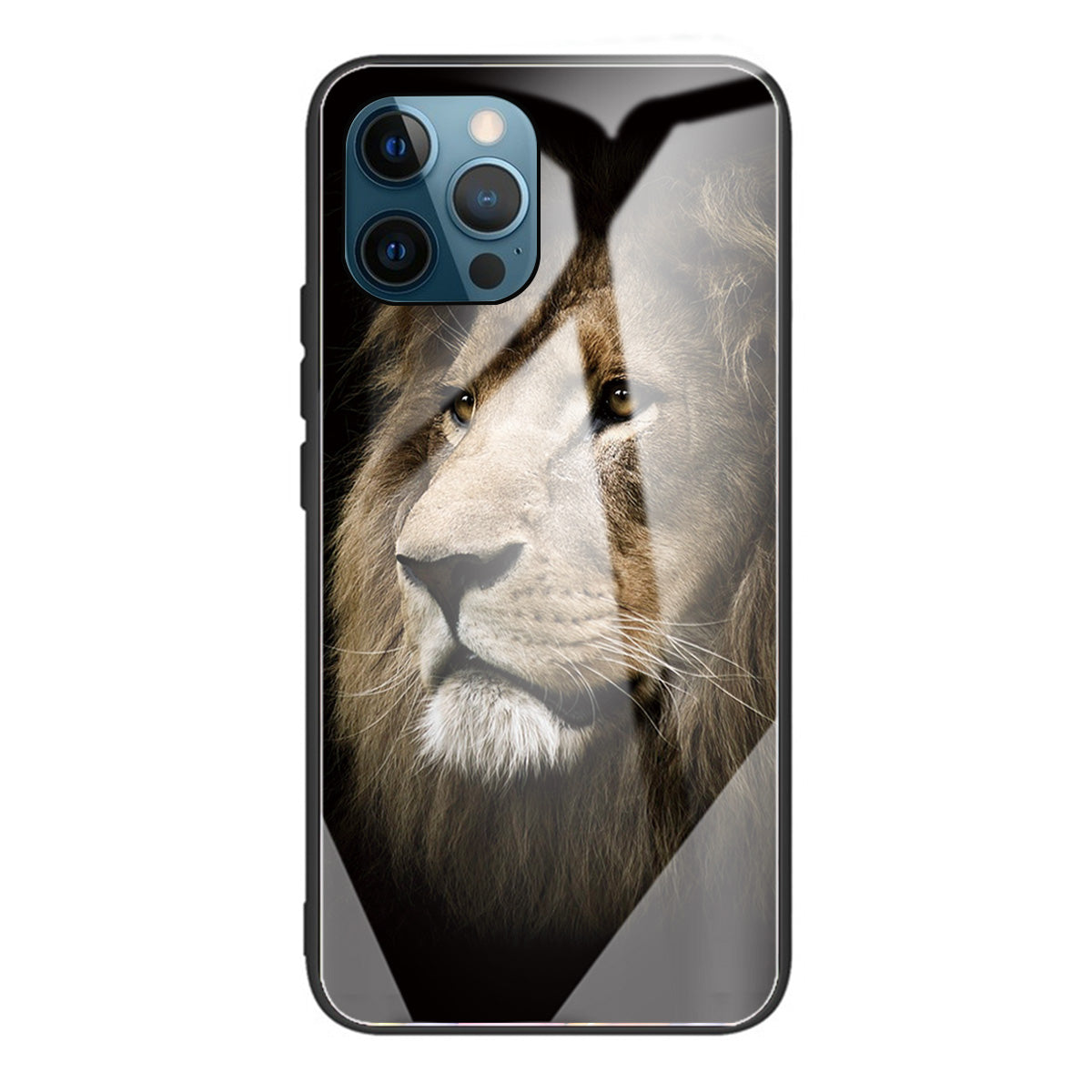 Pattern Printing Tempered Glass Back Cover + TPU Frame Well-Protected Hybrid Case Cover for iPhone 13 Pro 6.1 inch