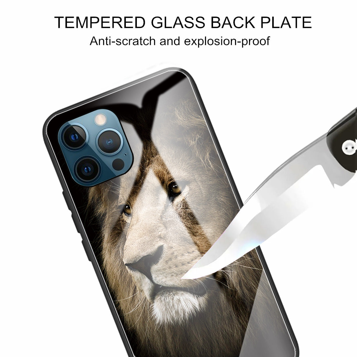 Pattern Printing Tempered Glass Back Cover + TPU Frame Well-Protected Hybrid Case Cover for iPhone 13 Pro 6.1 inch