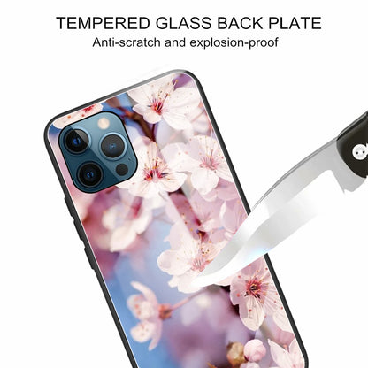 Pattern Printing Tempered Glass Back Cover + TPU Frame Well-Protected Hybrid Case Cover for iPhone 13 Pro 6.1 inch