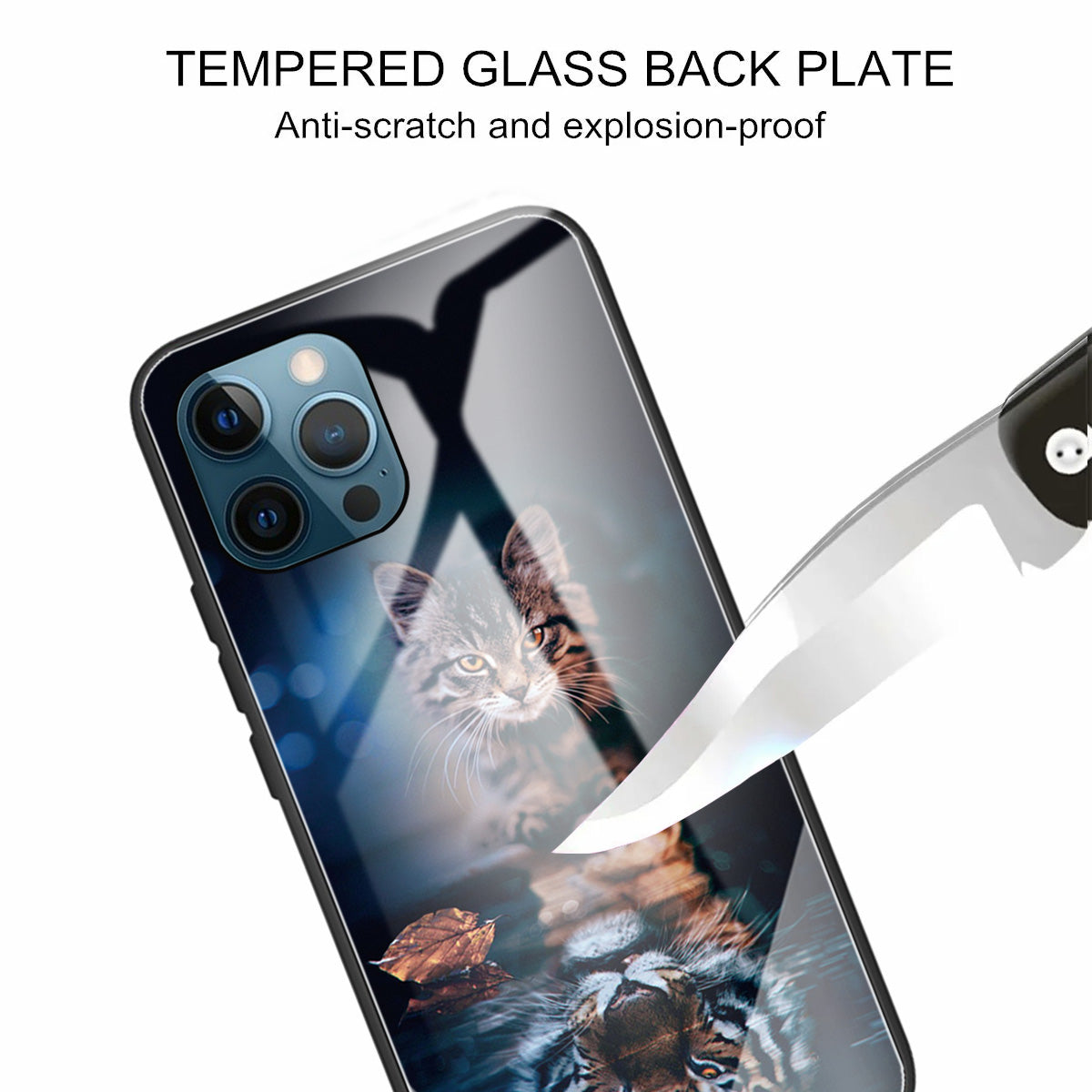 Pattern Printing Tempered Glass Back Cover + TPU Frame Well-Protected Hybrid Case Cover for iPhone 13 Pro 6.1 inch