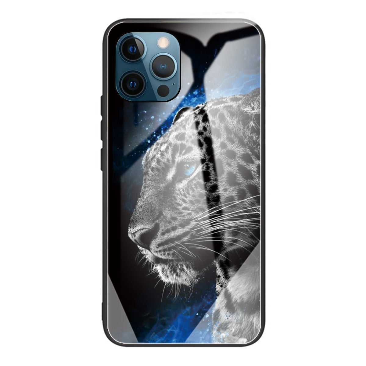 Pattern Printing Tempered Glass Back Cover + TPU Frame Well-Protected Hybrid Case Cover for iPhone 13 Pro 6.1 inch