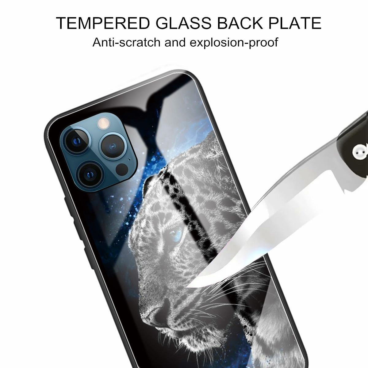 Pattern Printing Tempered Glass Back Cover + TPU Frame Well-Protected Hybrid Case Cover for iPhone 13 Pro 6.1 inch