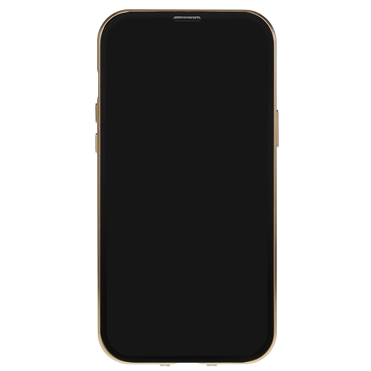 For iPhone 13 Pro 6.1 inch Straight Edge Privacy Case Double Sides Tempered Glass Back Frosted Magnetic Adsorption Metal Frame Safety Buckle Full Body Protection Phone Cover