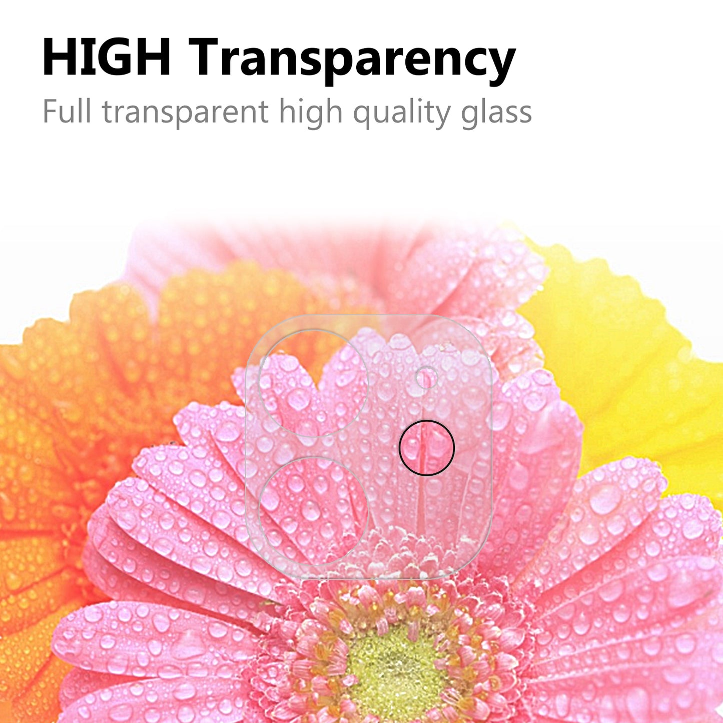 2.5D 9H Arc Edge Tempered Glass Screen Protector + Camera Lens Film for iPhone 12