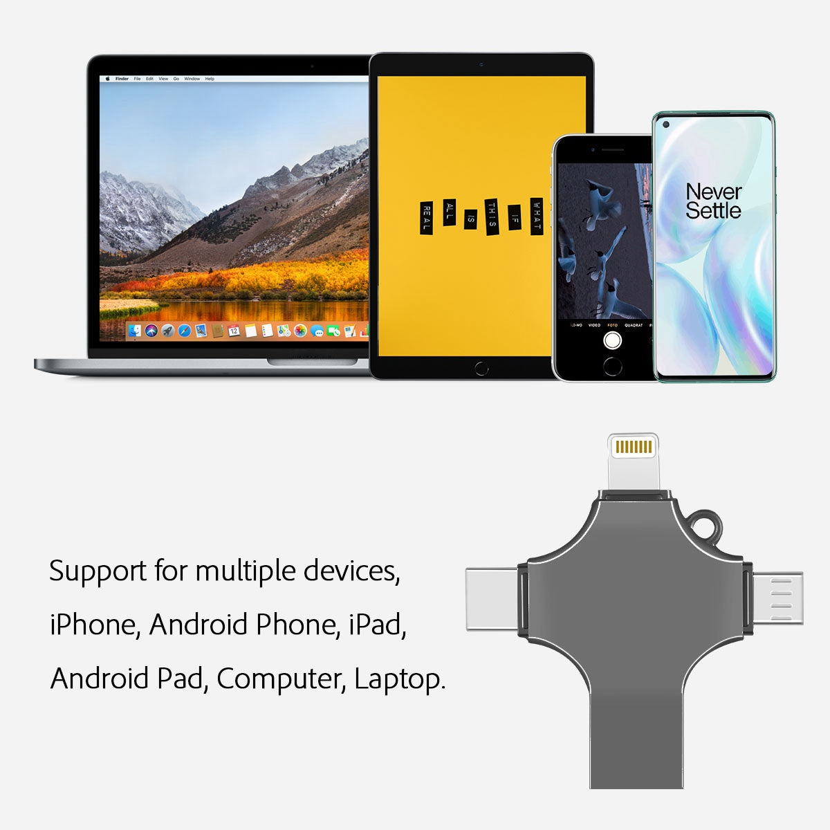 RICHWELL R-SZPM 512G Large Capacity USB 3.0 Flash Drive Type C/Lightning/Micro USB Adapter