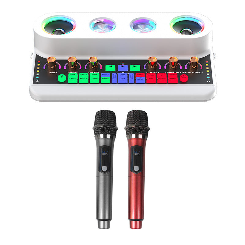S20 Audio Microphone Sound Card with Dual Microphone for Karaoke Party Soundcard Device