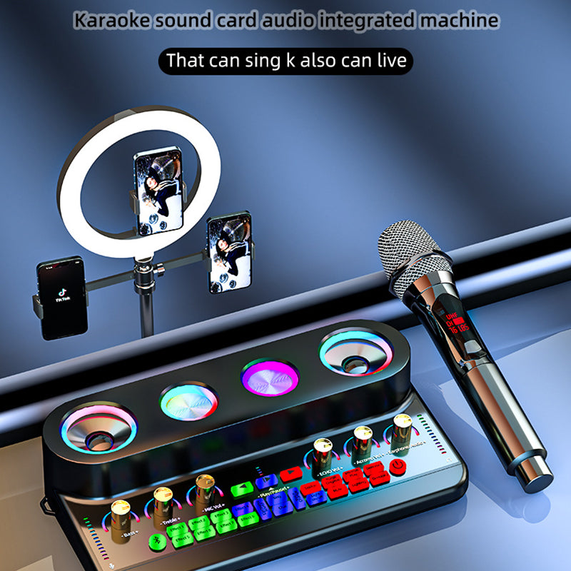 S20 Audio Microphone Sound Card with Dual Microphone for Karaoke Party Soundcard Device