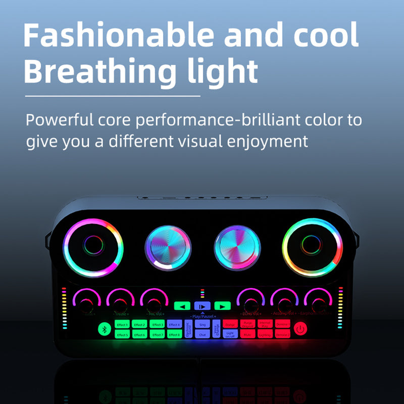 S20 Audio Microphone Sound Card with Dual Microphone for Karaoke Party Soundcard Device