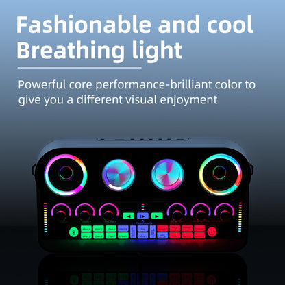 S20 Audio Microphone Sound Card with Dual Microphone for Karaoke Party Soundcard Device