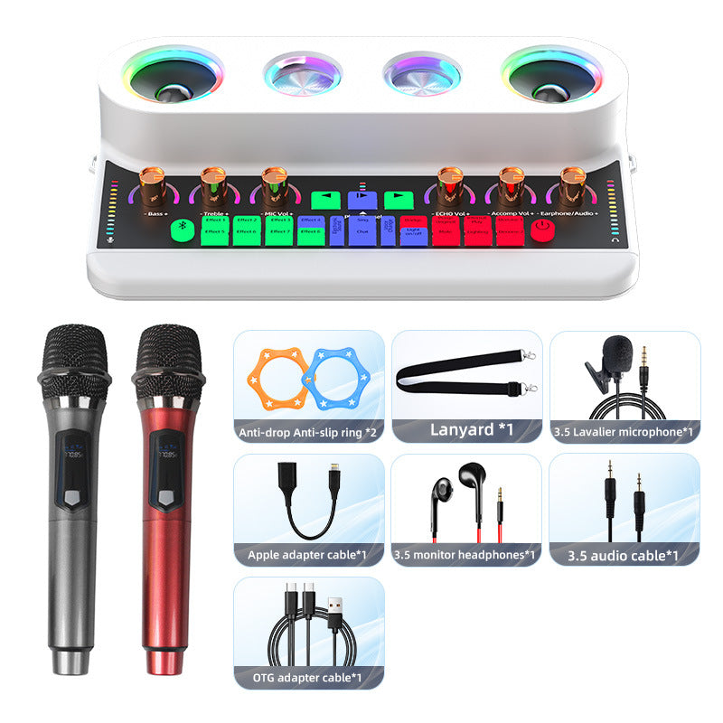 S20 Audio Microphone Sound Card with Dual Microphone for Karaoke Party Soundcard Device