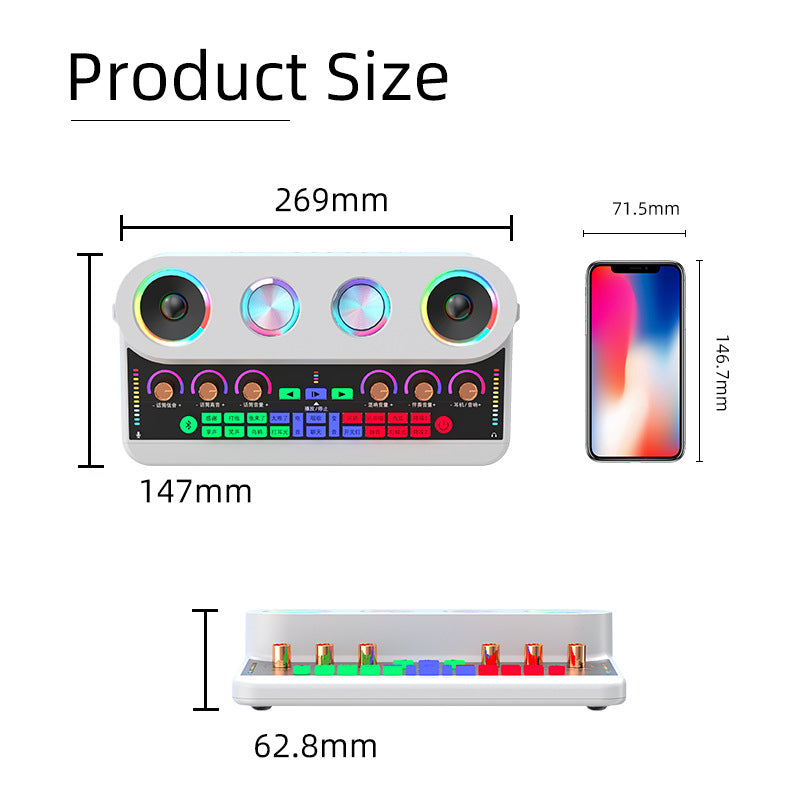 S20 Audio Microphone Sound Card with Dual Microphone for Karaoke Party Soundcard Device
