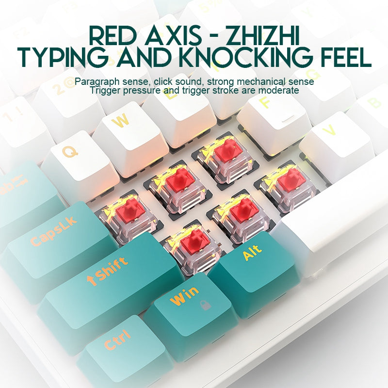 FREE WOLF K3 Mechanical Keyboard 100-Key Gaming Keyboard with Colorful Light Effects for Office Home Computers Laptops