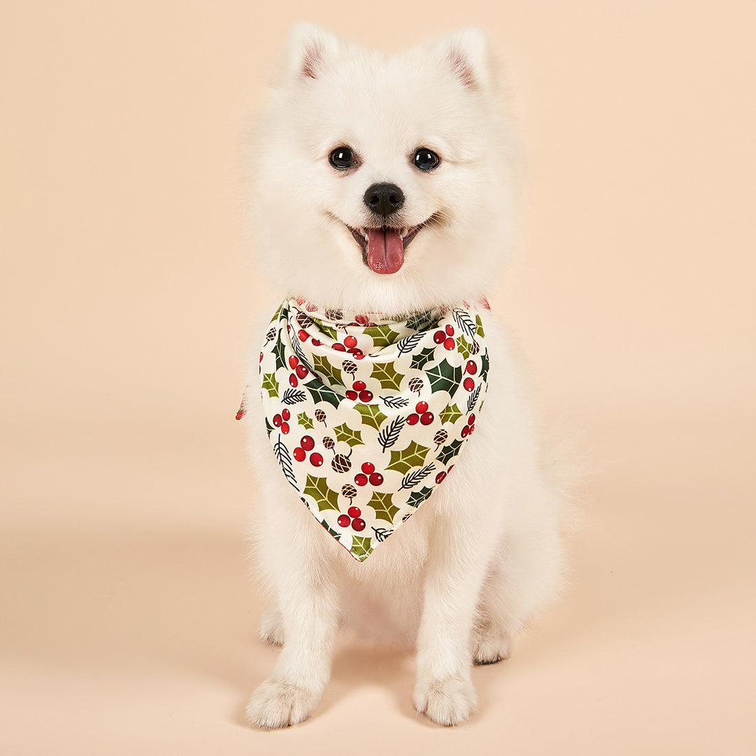 Christmas Dog Bandanas Pet Bib Bandanas Pet Scarf Washable Dog Bib Costume [Size: M/L]